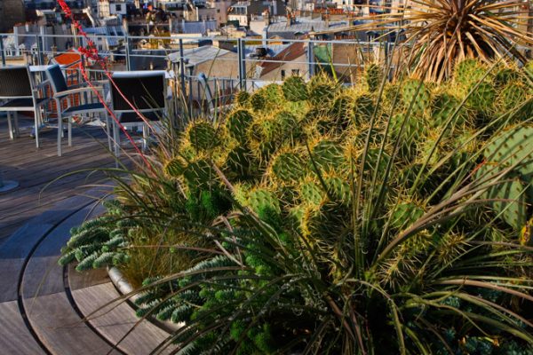 ROOF GARDEN AT THE HOLIDAY INN, RUE DANTON, PARIS: DESIGNERS ERIC OSSART AND ARNAUD MAURIERES: