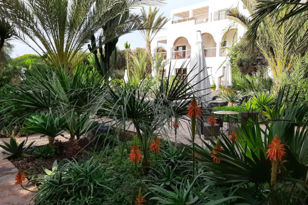 1.-Riad-Villa-Blanche---Agadir